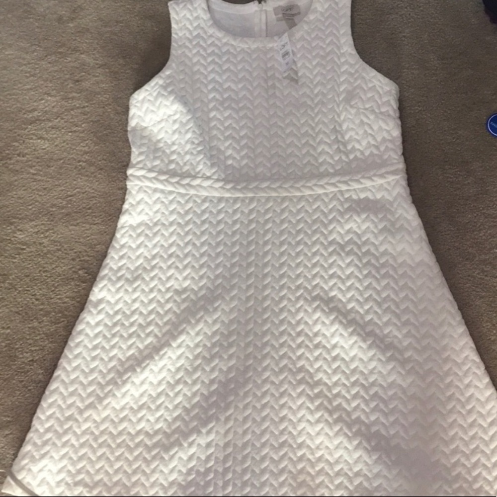 Loft White dress!